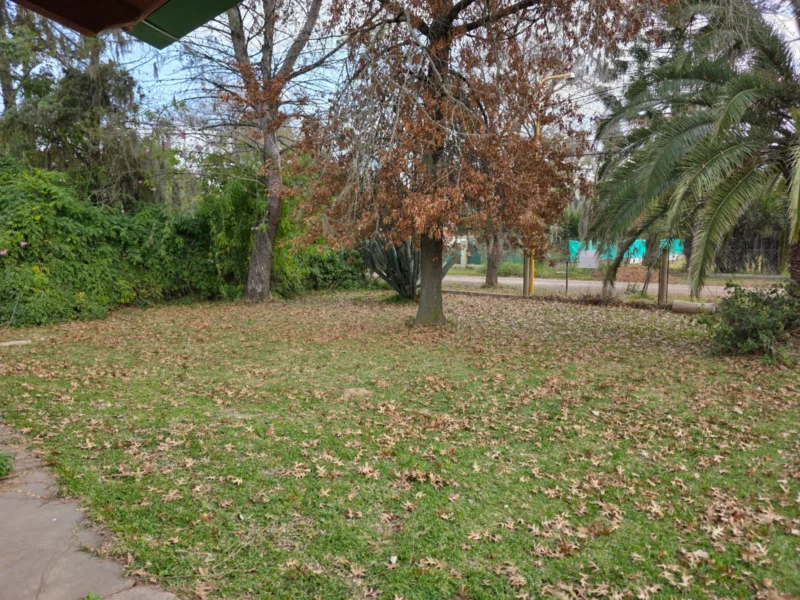 Foto 10